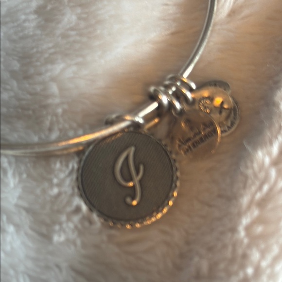 Alex and Ani Silver Minimalist Charm Bracelets Set - Picture 8 of 8